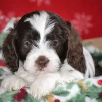 processed/570b114f-4f9a-445d-8d9e-89f5d2b148a7/facility/ec6c8970-d34b-42eb-af9e-2dc8ee0c8dde