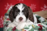 processed/570b114f-4f9a-445d-8d9e-89f5d2b148a7/facility/ec6c8970-d34b-42eb-af9e-2dc8ee0c8dde