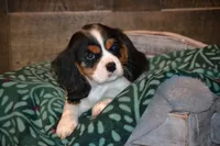 processed/570b114f-4f9a-445d-8d9e-89f5d2b148a7/facility/f5abd2ff-1c43-40df-b9b6-b44996a8020c