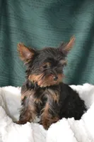 processed/570b114f-4f9a-445d-8d9e-89f5d2b148a7/listing/362b6d6c-1ac8-48e8-b188-f917615ad743/59199cda-c81b-410c-9972-851602bf6bf7