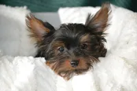 processed/570b114f-4f9a-445d-8d9e-89f5d2b148a7/listing/362b6d6c-1ac8-48e8-b188-f917615ad743/71ac53f5-d694-4abd-bfa6-034ec5745654