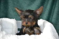 processed/570b114f-4f9a-445d-8d9e-89f5d2b148a7/listing/362b6d6c-1ac8-48e8-b188-f917615ad743/73820471-b48a-49cf-b5ad-e1ace2c7208d