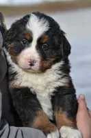 processed/570b114f-4f9a-445d-8d9e-89f5d2b148a7/listing/7d706b7e-761e-4118-b2fe-62e448943a93/0681419f-cd03-4a63-8328-cdfef2c61e5f