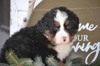 processed/570b114f-4f9a-445d-8d9e-89f5d2b148a7/listing/7d706b7e-761e-4118-b2fe-62e448943a93/25409bad-ab32-4e81-b55b-d231fa2e3231