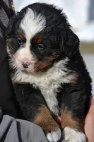 processed/570b114f-4f9a-445d-8d9e-89f5d2b148a7/listing/7d706b7e-761e-4118-b2fe-62e448943a93/983508e5-8eb4-46df-88ba-3c6313562254