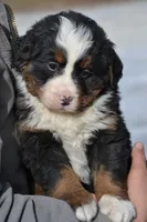 processed/570b114f-4f9a-445d-8d9e-89f5d2b148a7/listing/7d706b7e-761e-4118-b2fe-62e448943a93/d93bef5e-232e-486e-b620-acd621e3a638