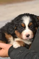 processed/570b114f-4f9a-445d-8d9e-89f5d2b148a7/listing/be0014c2-d6ee-4e4e-9ddf-01655645c763/0152048b-7e82-4942-a9c8-711afef221bb