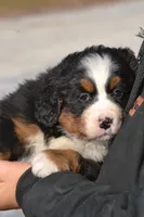 processed/570b114f-4f9a-445d-8d9e-89f5d2b148a7/listing/be0014c2-d6ee-4e4e-9ddf-01655645c763/05a60efe-b164-411e-b6ca-88e8c3ceea2f