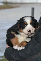 processed/570b114f-4f9a-445d-8d9e-89f5d2b148a7/listing/be0014c2-d6ee-4e4e-9ddf-01655645c763/2ff34337-3aed-4af0-a4dc-bc12d7eba860