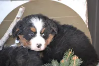 processed/570b114f-4f9a-445d-8d9e-89f5d2b148a7/listing/be0014c2-d6ee-4e4e-9ddf-01655645c763/68feb1b3-156a-4962-abfb-b2b5c3f09926