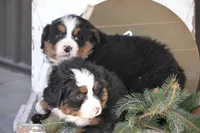 processed/570b114f-4f9a-445d-8d9e-89f5d2b148a7/listing/be0014c2-d6ee-4e4e-9ddf-01655645c763/a86383a1-6678-4d69-ac2c-847c290725d9