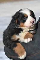 processed/570b114f-4f9a-445d-8d9e-89f5d2b148a7/listing/be0014c2-d6ee-4e4e-9ddf-01655645c763/aae66f0b-a578-479f-ad28-baff11bef726