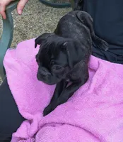 processed/570dfdb7-0e66-4b17-843c-517e5e0ecd8b/listing/bcecaf6a-2b2f-4a5b-bd1d-91b51b6f8b07/0d31be72-6a92-4705-9f1a-656434b8b6ee