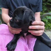 processed/570dfdb7-0e66-4b17-843c-517e5e0ecd8b/listing/bcecaf6a-2b2f-4a5b-bd1d-91b51b6f8b07/2c743d12-9417-4fc0-8171-07ea8fed39d7