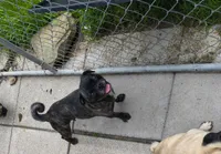 processed/570dfdb7-0e66-4b17-843c-517e5e0ecd8b/listing/bcecaf6a-2b2f-4a5b-bd1d-91b51b6f8b07/54c2360a-6627-447a-802a-877eb41c68c2