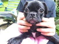 processed/570dfdb7-0e66-4b17-843c-517e5e0ecd8b/listing/bcecaf6a-2b2f-4a5b-bd1d-91b51b6f8b07/d25305f1-cfe8-4393-9ca0-002b0c5c3d3e