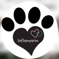 processed/571068b5-308b-4bc8-b787-a307d7abf0d6/facility/77704b5b-1857-46c9-830d-fc5d772fca92