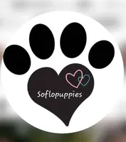 processed/571068b5-308b-4bc8-b787-a307d7abf0d6/facility/77704b5b-1857-46c9-830d-fc5d772fca92