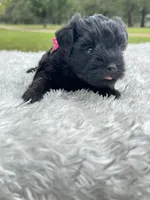 processed/57115b80-80eb-4c1c-b508-1c22bed9ff72/listing/4599abe9-5810-4ffd-a450-66ce109f8d2c/24b3ceb8-ea33-4d80-8b3f-421c0acec80a