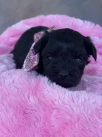 processed/57115b80-80eb-4c1c-b508-1c22bed9ff72/listing/4599abe9-5810-4ffd-a450-66ce109f8d2c/37333079-09c2-49ec-b08e-dc2f0748c8f5