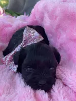 processed/57115b80-80eb-4c1c-b508-1c22bed9ff72/listing/4599abe9-5810-4ffd-a450-66ce109f8d2c/63330f3a-6032-485c-8577-89b6b4c085d8