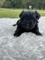 processed/57115b80-80eb-4c1c-b508-1c22bed9ff72/listing/4599abe9-5810-4ffd-a450-66ce109f8d2c/9d35d8d4-c2f4-4731-8aaa-30f3d3214045