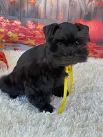 processed/57115b80-80eb-4c1c-b508-1c22bed9ff72/listing/4599abe9-5810-4ffd-a450-66ce109f8d2c/ebbaf13a-5882-4ea2-a2f4-bd507efa1fa9