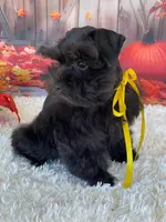 processed/57115b80-80eb-4c1c-b508-1c22bed9ff72/listing/4599abe9-5810-4ffd-a450-66ce109f8d2c/fe46e43f-5a25-43bd-b42b-7b158051eda0