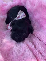 processed/57115b80-80eb-4c1c-b508-1c22bed9ff72/listing/4599abe9-5810-4ffd-a450-66ce109f8d2c/ff2989bc-32e6-4b1e-843b-6b66ff6f7a20