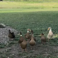 processed/571b0e9b-2eb9-472e-9284-3412f550bf45/facility/6ac089d4-3ee2-4e31-8961-524ae471d769