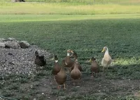 processed/571b0e9b-2eb9-472e-9284-3412f550bf45/facility/6ac089d4-3ee2-4e31-8961-524ae471d769