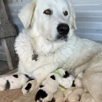 processed/571b0e9b-2eb9-472e-9284-3412f550bf45/facility/8740d26f-5171-47a6-a8d9-2753c7b6dea5