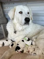 processed/571b0e9b-2eb9-472e-9284-3412f550bf45/facility/8740d26f-5171-47a6-a8d9-2753c7b6dea5