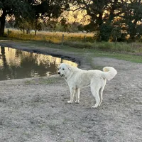 processed/571b0e9b-2eb9-472e-9284-3412f550bf45/facility/b86de675-8e2f-42d1-a7c4-49a20a1cb540