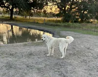 processed/571b0e9b-2eb9-472e-9284-3412f550bf45/facility/b86de675-8e2f-42d1-a7c4-49a20a1cb540