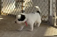 processed/571b0e9b-2eb9-472e-9284-3412f550bf45/listing/065cf8dc-4ca0-4955-9955-dad107f3215e/1883d28d-70fa-4fc3-b4fa-1c3c78d2756c