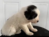 processed/571b0e9b-2eb9-472e-9284-3412f550bf45/listing/065cf8dc-4ca0-4955-9955-dad107f3215e/19160297-47ce-46d0-ac4e-f31307b92dfc