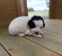 processed/571b0e9b-2eb9-472e-9284-3412f550bf45/listing/065cf8dc-4ca0-4955-9955-dad107f3215e/45bc4b3b-afaf-4315-a87d-7e384be09a03