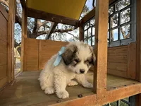 processed/571b0e9b-2eb9-472e-9284-3412f550bf45/listing/2874d867-0ebb-420d-a732-1bd531203e79/41565694-66e4-4899-a6d0-346e65f63390