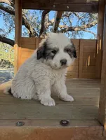 processed/571b0e9b-2eb9-472e-9284-3412f550bf45/listing/2874d867-0ebb-420d-a732-1bd531203e79/58aff6e3-0d4d-4e13-9d31-ada8f40884b2