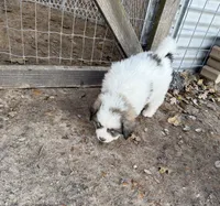 processed/571b0e9b-2eb9-472e-9284-3412f550bf45/listing/2874d867-0ebb-420d-a732-1bd531203e79/713a2f60-719c-415a-b79b-aa12f1f70aa7