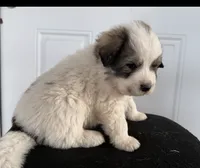 processed/571b0e9b-2eb9-472e-9284-3412f550bf45/listing/2874d867-0ebb-420d-a732-1bd531203e79/8dcf6260-1e20-442d-9c24-27a05e728d8f