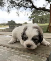 processed/571b0e9b-2eb9-472e-9284-3412f550bf45/listing/2874d867-0ebb-420d-a732-1bd531203e79/dad71841-1226-4fcc-8d78-15fe74a58626