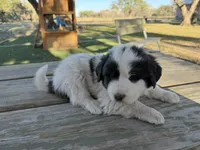 processed/571b0e9b-2eb9-472e-9284-3412f550bf45/listing/83133689-ed30-4b6b-9c59-ad24498dc214/1831e8b0-4e00-4b02-9822-6d0e5543adb4