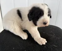 processed/571b0e9b-2eb9-472e-9284-3412f550bf45/listing/83133689-ed30-4b6b-9c59-ad24498dc214/879a0ab0-e146-44ad-a93f-477cab0d4d76