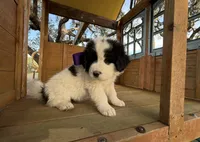 processed/571b0e9b-2eb9-472e-9284-3412f550bf45/listing/83133689-ed30-4b6b-9c59-ad24498dc214/ad29b26f-ccf7-4252-8dd3-c11f3b99360c