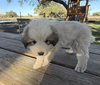 processed/571b0e9b-2eb9-472e-9284-3412f550bf45/listing/9ab58ffa-828b-47df-bbde-ec88ea59a8c8/b65709d0-1e2f-4647-a21d-df058e8641a9