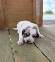 processed/571b0e9b-2eb9-472e-9284-3412f550bf45/listing/a2cfdcf7-8569-4423-a417-a77fe1cd3261/37042d6c-f0f7-477c-bf7d-56693f5d2adc