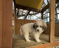 processed/571b0e9b-2eb9-472e-9284-3412f550bf45/listing/a2cfdcf7-8569-4423-a417-a77fe1cd3261/47f7b123-3926-4c40-bdd1-7f24cafb3aa5