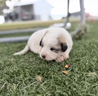 processed/571b0e9b-2eb9-472e-9284-3412f550bf45/listing/d70b046f-985c-44e7-98f2-45f18ec5ef7b/106e56f1-112c-4517-aca6-b4787b95d0ea